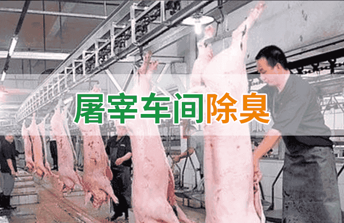 屠宰場臭氣影響周邊環(huán)境？解決辦法在這里-1