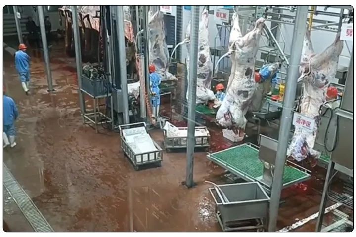 屠宰工廠惡臭影響周邊，使用除臭劑有什么注意要點(diǎn)？