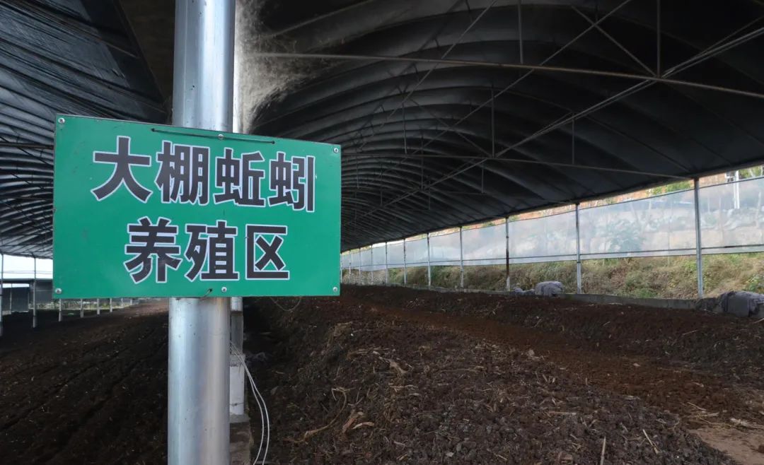 潔匠凈化·的凈工業(yè)除臭劑_的凈工業(yè)除臭劑高效治理蚯蚓養(yǎng)殖惡臭異味大、牛糞味濃