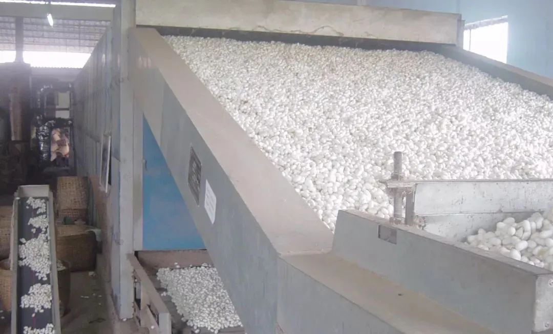 潔匠凈化·的凈工業(yè)除臭劑_繅絲廠“蠶繭烘干惡臭味”，Dejing的凈?除臭創(chuàng)造清新廠房！