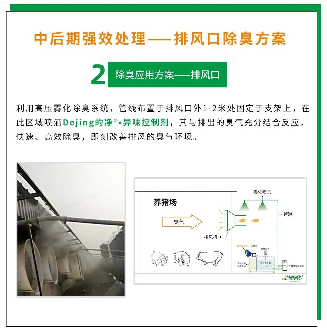 Dejing的凈養(yǎng)殖場除臭劑如何迅速清理養(yǎng)殖場臭味？.jpg