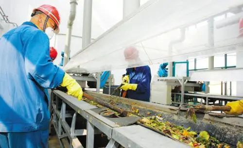 餐廚垃圾的不當(dāng)處理已成為致霾致癌的一個重要成因.jpg 餐廚垃圾的不當(dāng)處理已成為致霾致癌的一個重要成因.jpg